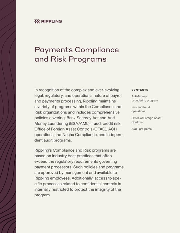 [Template] Payments Compliance Risk Programs - Page 1